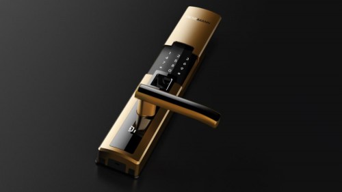 德施曼获红星美凯龙、好太太、分享投资等过亿元联合投资，全力打造智能锁第一品牌