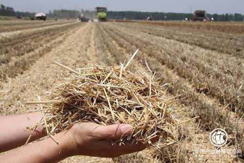 黑龙江将统筹10亿元推动秸秆综合利用