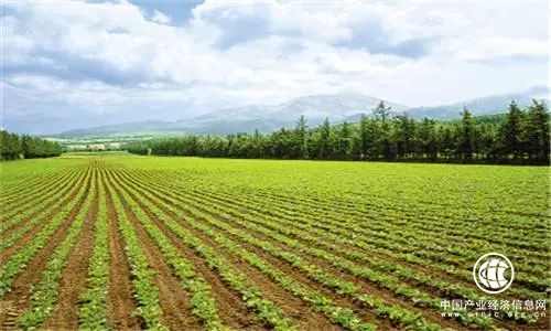 黑龙江2018年新增650万亩耕地轮作试点