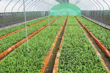 四川甘孜州出台系列措施力促农产品质量提升