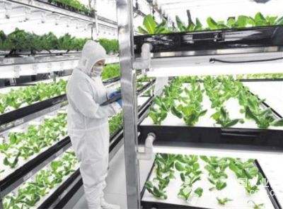 科技的价值赋予农业新的价值观：从按斤称到论粒卖