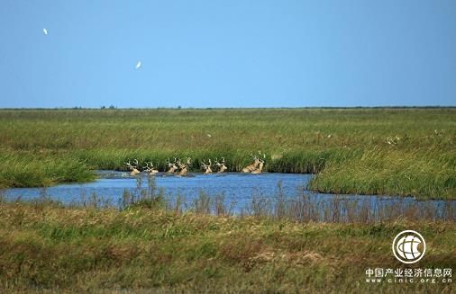 七部门联合部署“绿盾2018”自然保护区监督检查专项行动 