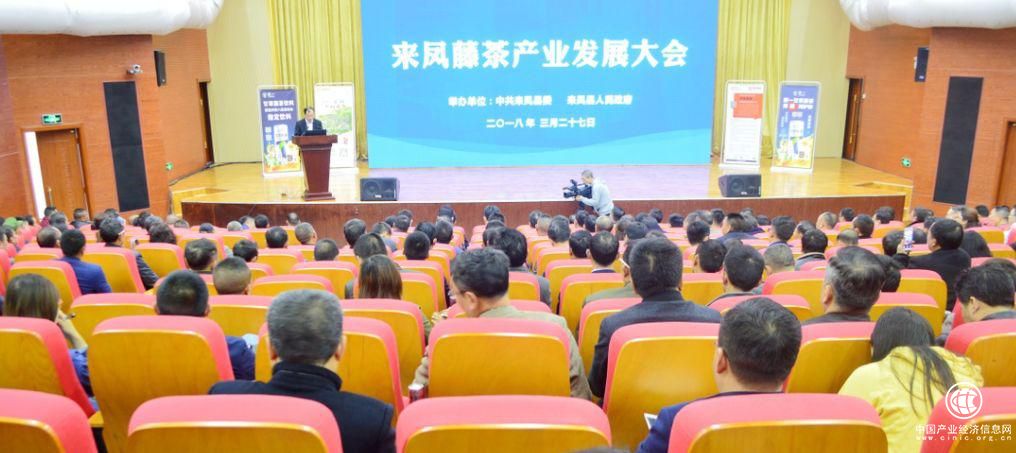 网库单品产业互联网助力“中国藤茶第一县”来凤大发展