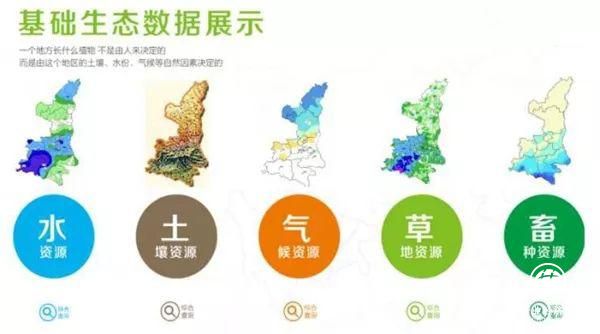 图片12.jpg