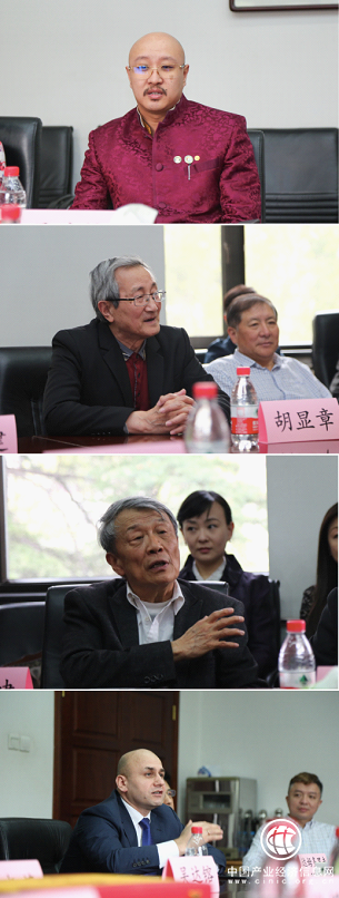 吴达镕教授发言