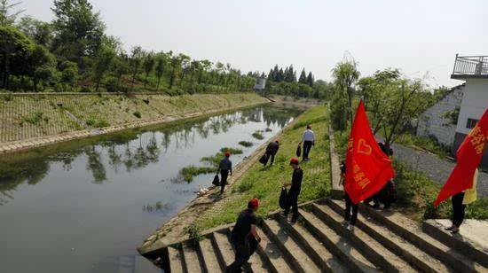 沈阳农业大学教授杨立新：40余项专利技术让黑臭水体重现碧波