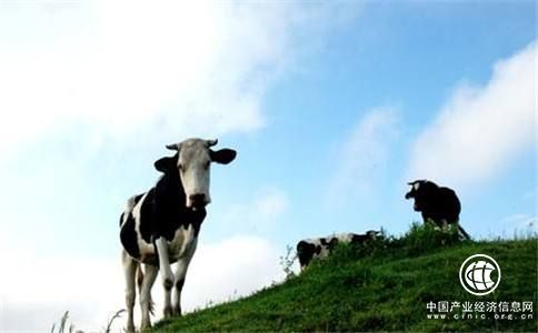 奶源价格还不具备竞争优势，乳业上市公司业绩分化严重