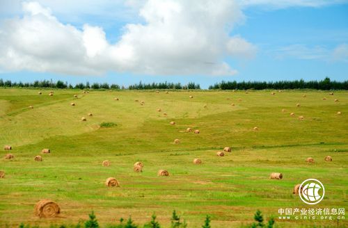 推进生态环境保护 内蒙古锡林郭勒盟实行草场休养策略