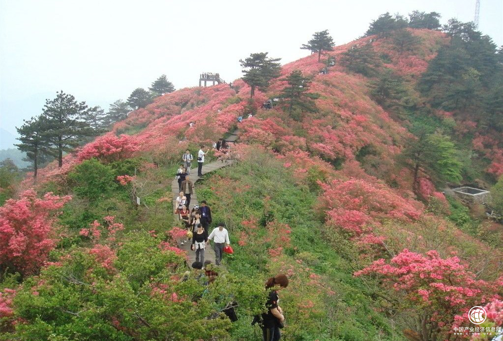 5月，各路越野高手云集崀山，围观或参战？