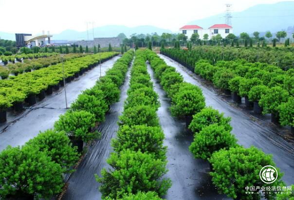 科技部开启新一批国家农业科技园区申报