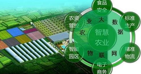 我国农业大数据创新应用大有可为