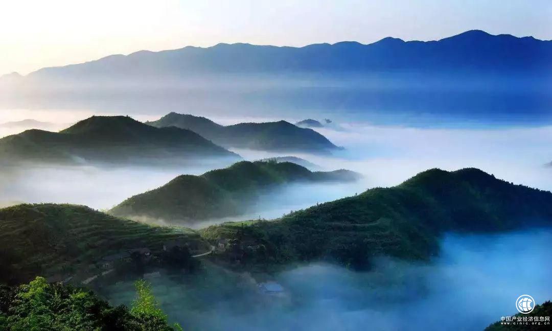 【网库产业带】瑞昌菜籽油的产业互联网之路