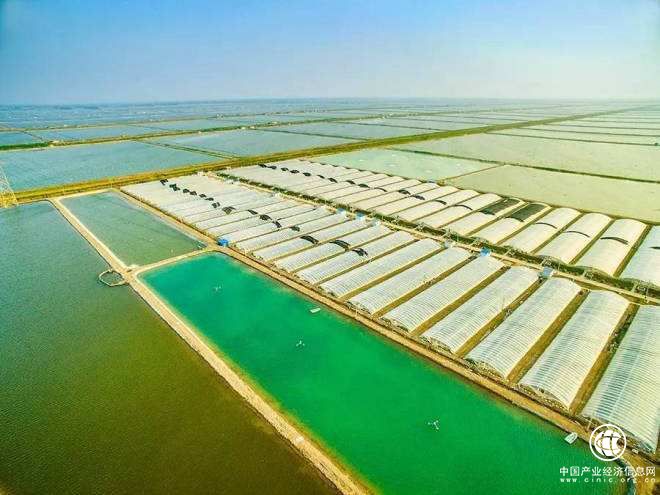 江苏连云港：“互联网+”助农场人筑梦智慧新生活