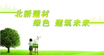 迈向营销2.0 北新建材打造产业链增值平台