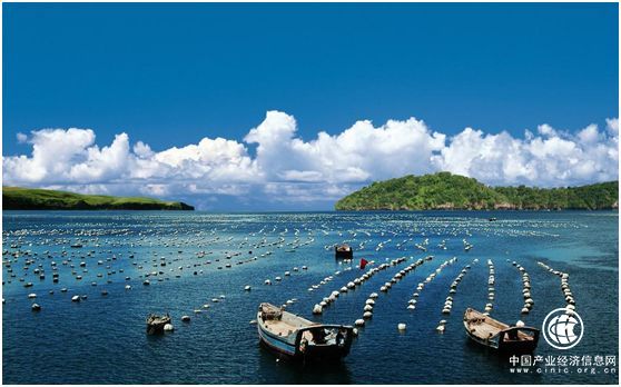 我国海洋生态环境稳中向好 陆源入海污染依然严重