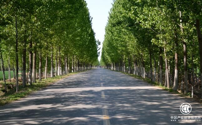 山东：3年投入450亿元新建改造农村公路