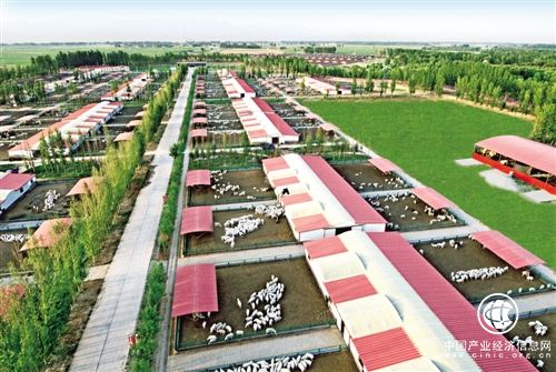 内蒙古包头今年将打造30个农牧业综合技术集成示范基地