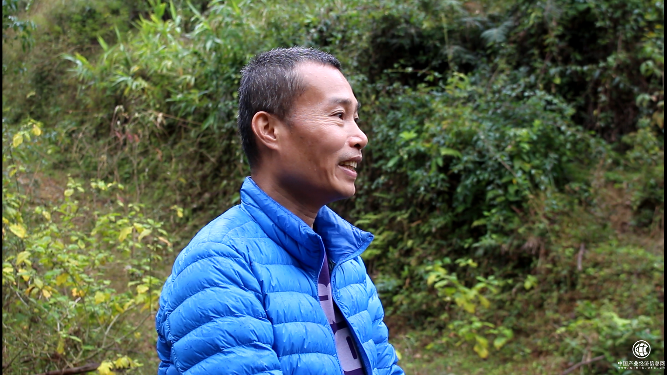 藏香猪村长罗天福 互联网养殖圆梦