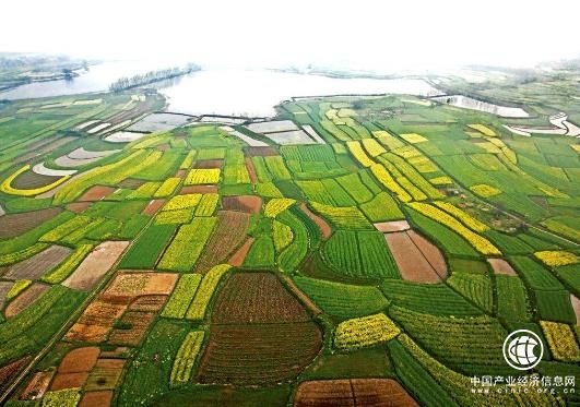 2018年一季度农业经济运行良好，第一产业增加值达到8904亿元