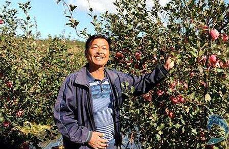 电商时代下的农业需要依靠科技和网络提高生产力