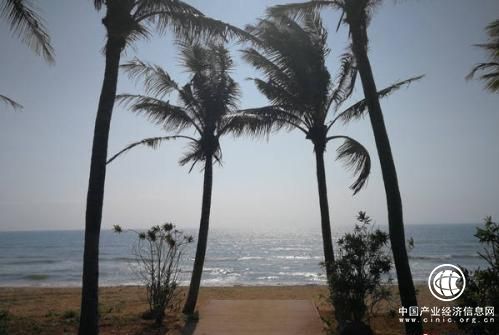 五一假日出游推荐：草树知春不久归，百般红紫斗芳菲