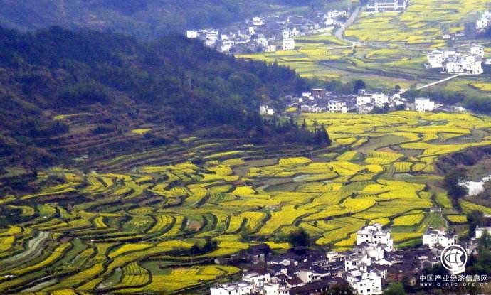 习近平指示：建设美丽乡村，要让广大农民有更多获得感、幸福感