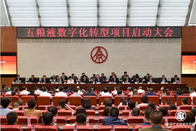 热点丨五粮液+IBM，两个世界“500强”谋划了4个月，孵化了什么？