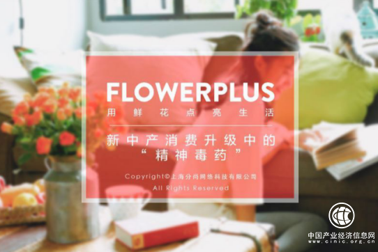 Flowerplus花加领跑口碑营销标杆企业 单月销售最高过亿 