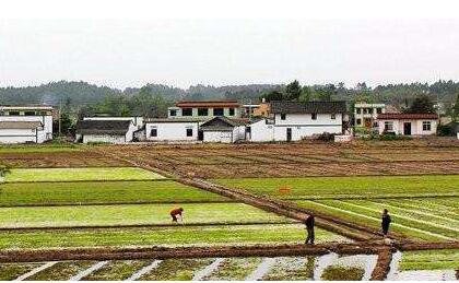 农业农村部：农村承包地确权登记颁证工作基本完成