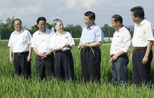 消费金融成“三农”互联网金融亮点