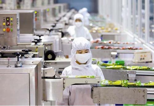 浙江宁波科技服务“引擎”助制造业换挡提速