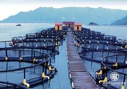 2017年江苏海洋生产总值同比增长9.2%