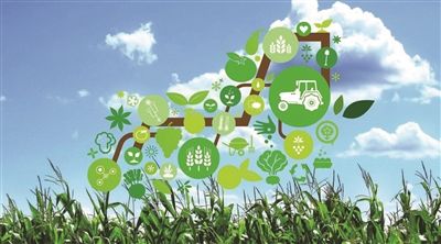 数字农业为作物保护提供新方案