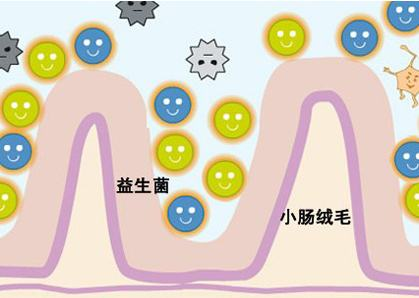 新维士益生菌：让孩子开心 让妈妈放心