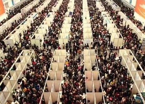 人力资源和社会保障部：全国就业人员七点七亿