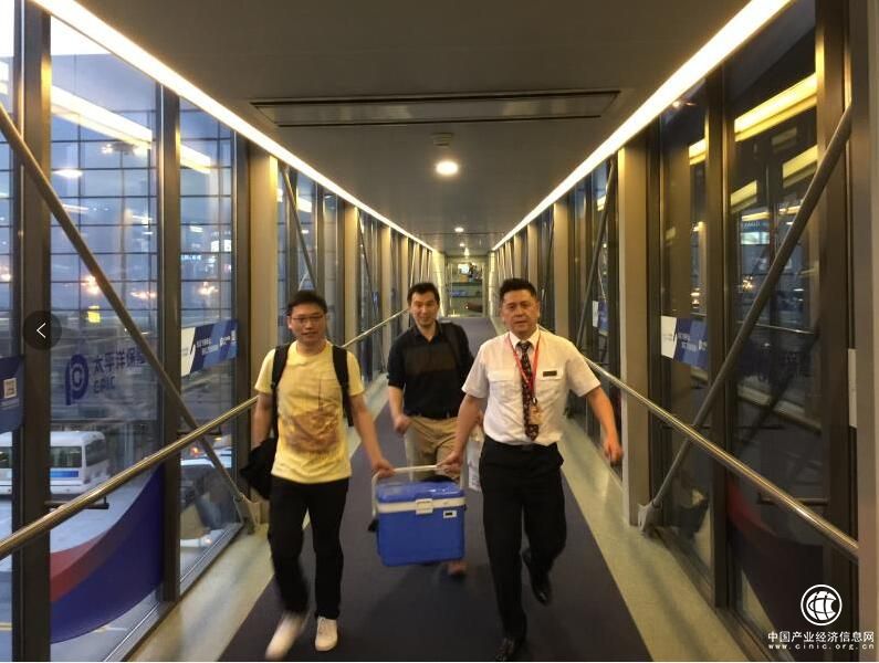 上海长征医院与东航协力跑赢生命接力赛