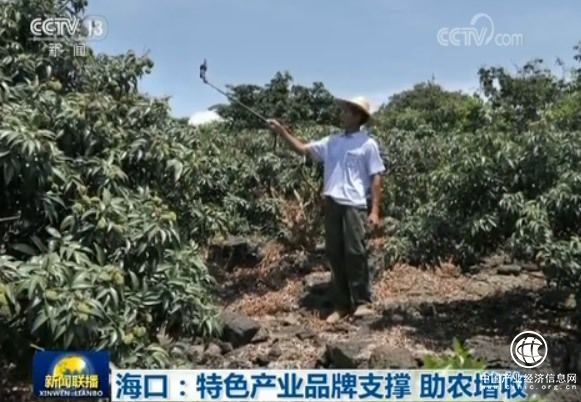 让农民钱袋子鼓起来：海口特色产业品牌支撑助农增收