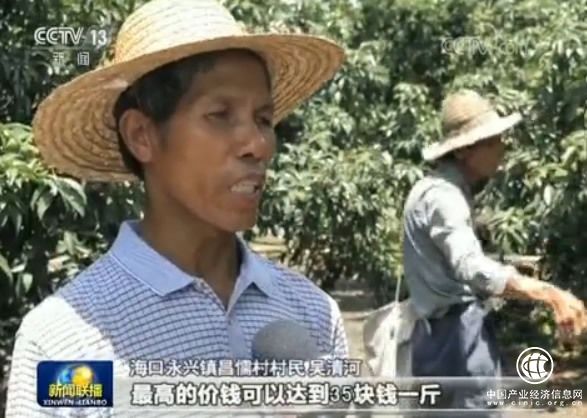 海口 钱袋子 特色产业