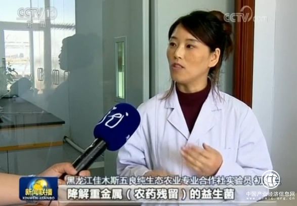 黑龙江 现代农业 结构