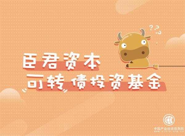 臣君资本：可转债新蓝海 红利从何而来？