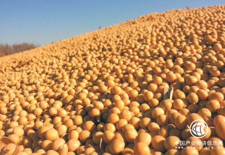国产大豆产量或创新高 暂难撼动大量进口格局
