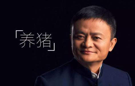 马云计划用AI养猪，为每一头猪建立体检档案