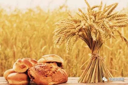 山东平度：地标农产品激发三产融合新活力