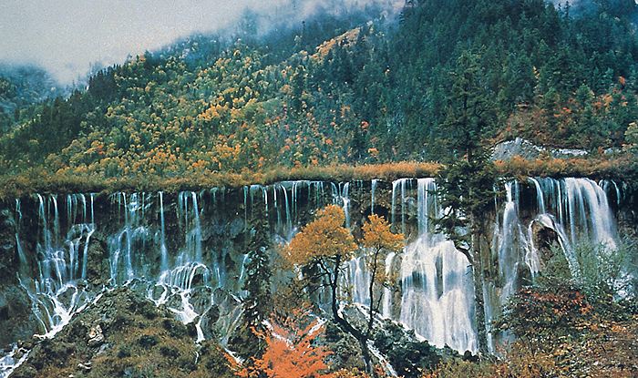 世界自然遗产与保护地协同保护成全球趋势