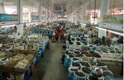 安徽亳州：一步一个脚印打造“世界中医药之都”