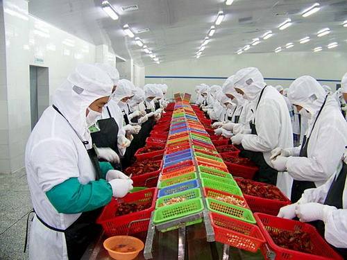 小龙虾产业有多火 去年产值2685亿同比增83%