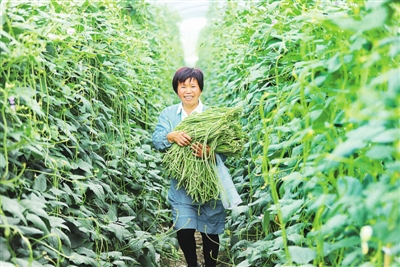 产业驱动 安徽省霍邱县走出一条绿色精准脱贫之路