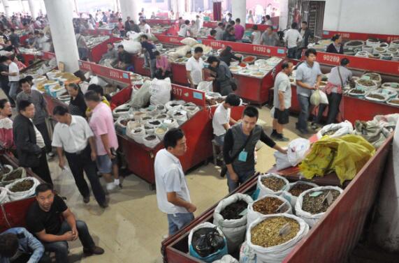 2017年中药材流通市场分析报告显示中药材市场总体向好