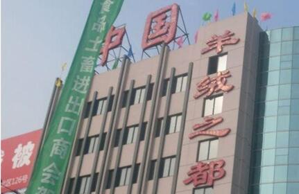 内蒙古鄂尔多斯：推进羊绒产业向“世界绒都”挺进