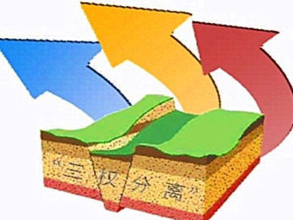 农村宅基地“三权分置”改革全面提速